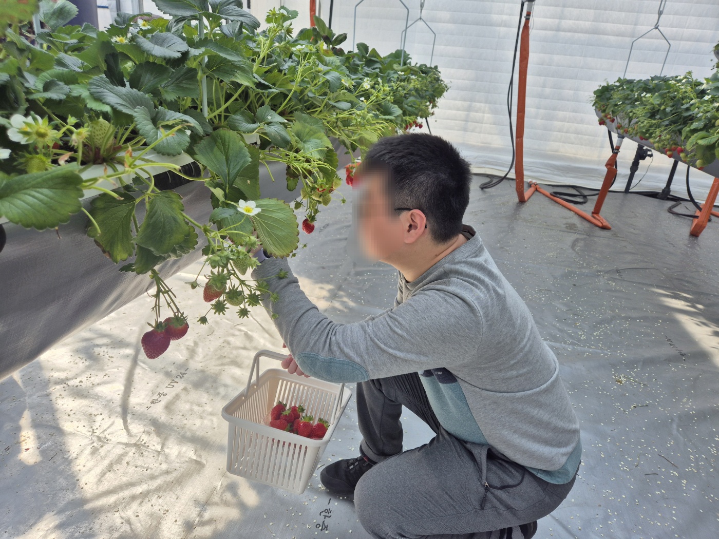 KakaoTalk_20250318_113635122_04.jpg