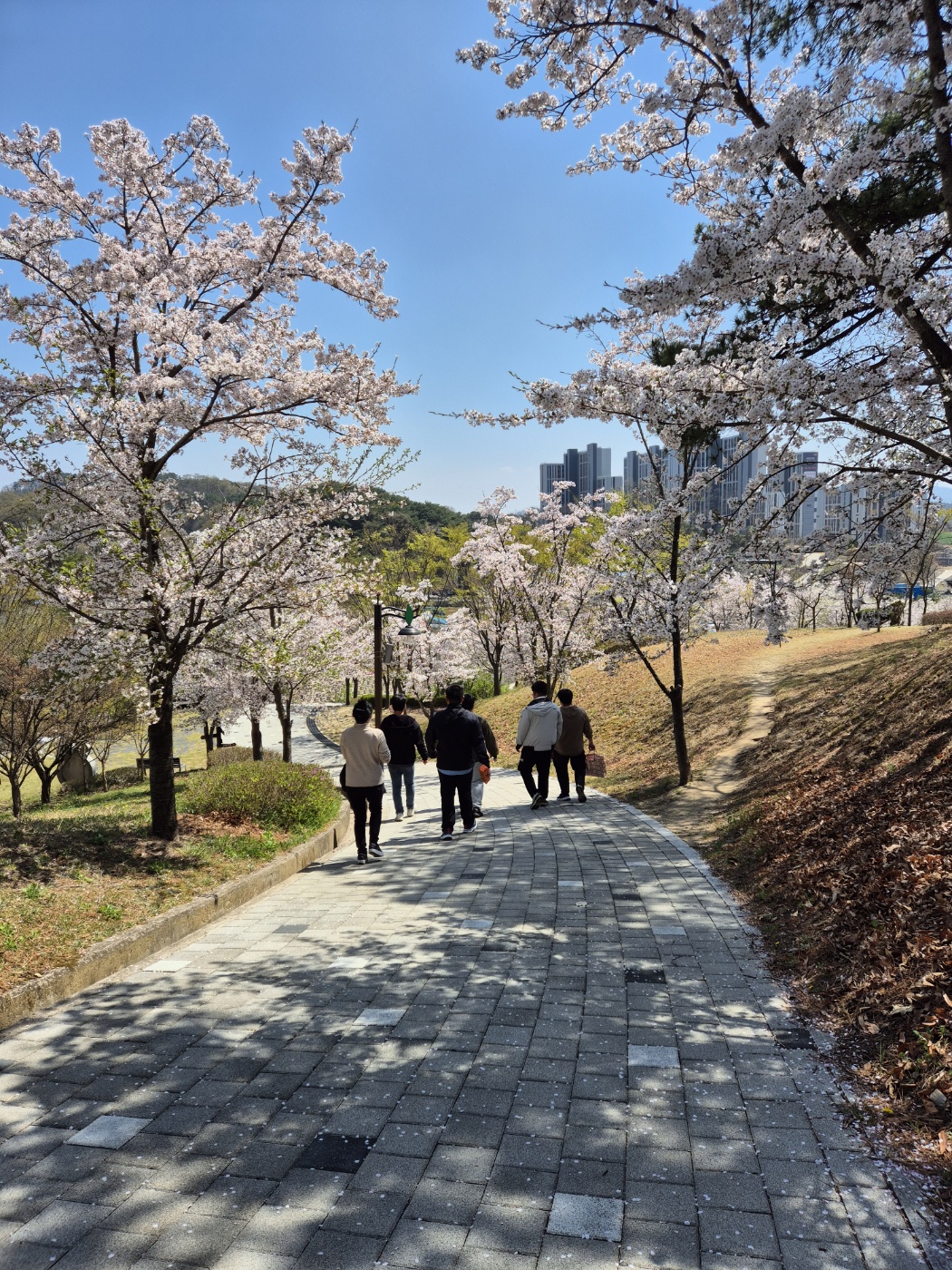 KakaoTalk_20250414_102434880_03.jpg